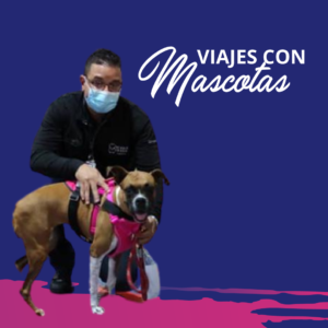 viajes_mascotas