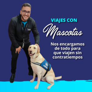 Mascota